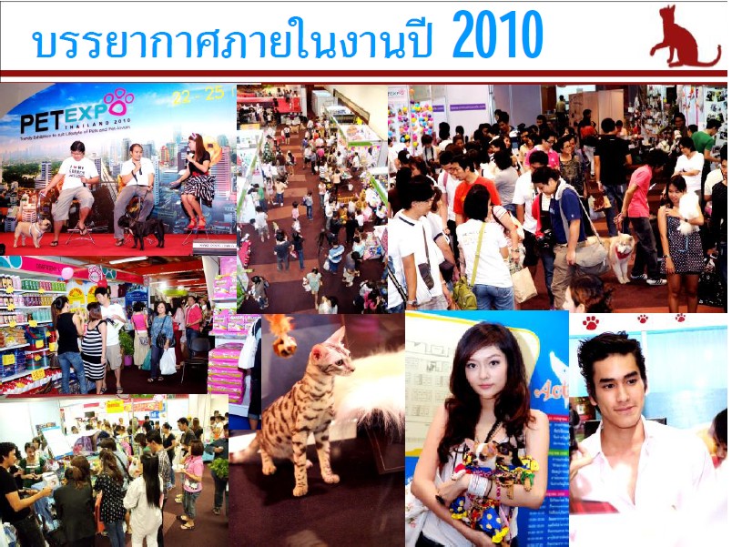 ǹ͹ҹͧ任СǴѹФѺѺҹ Pet Expo Thailand 2012